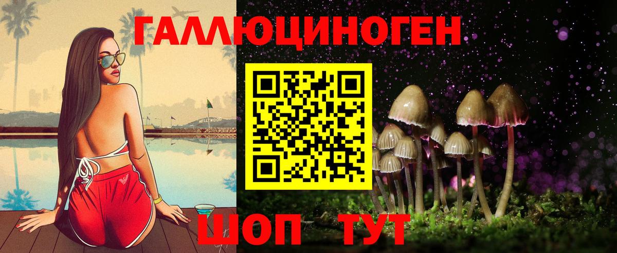 Усть-Илимск  Галлюциногенные грибы мухоморы  Галлюциногенные грибы Psilocybe  Вход с VPN 
